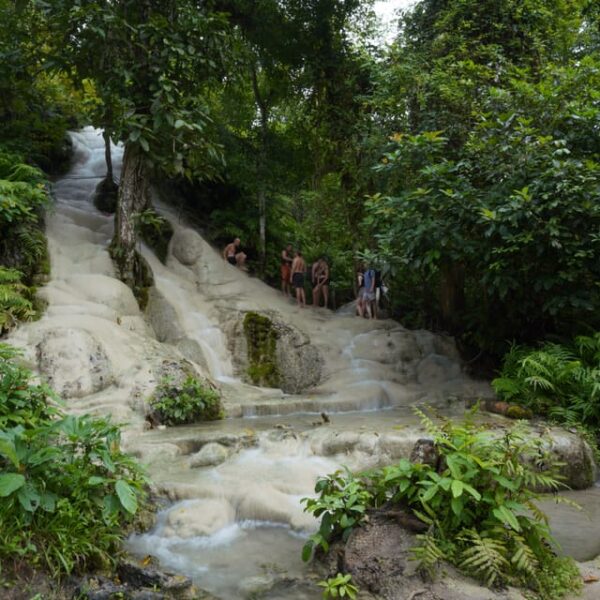 Chiang Mai: Bua Thong Sticky Waterfall and Huge Cave Tour